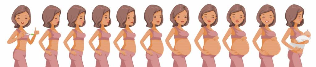 Les premiers signes de grossesse : évolution