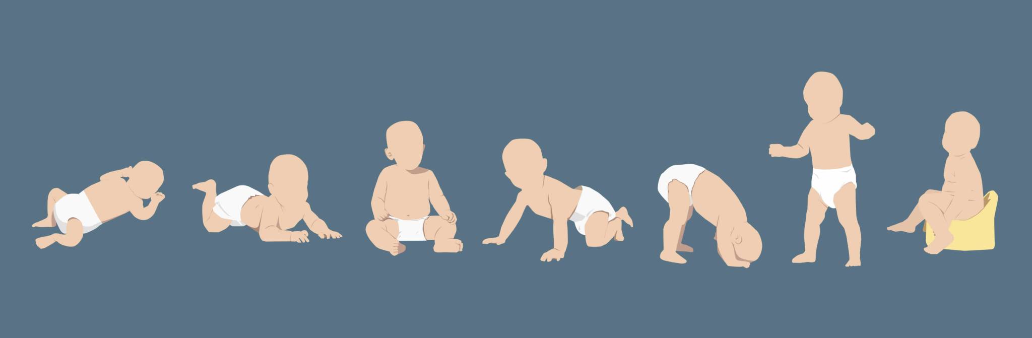 Courbe de croissance des bébés en poids et en taille Royaume Bébé