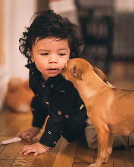 Bébé jouant avec un chien